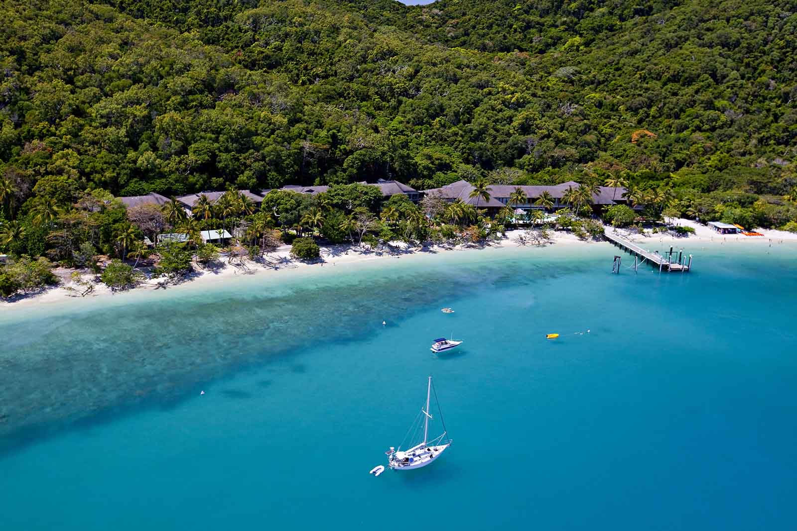 Fitzroy Island Resort, Great Barrier Reef, Queensland | The trees helping to save the reef