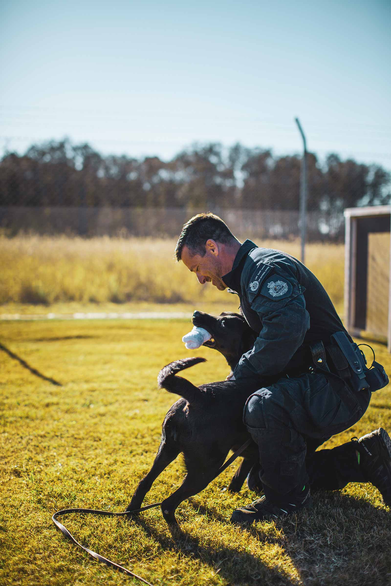 The AFP Canine Program training is based on repetition and reward