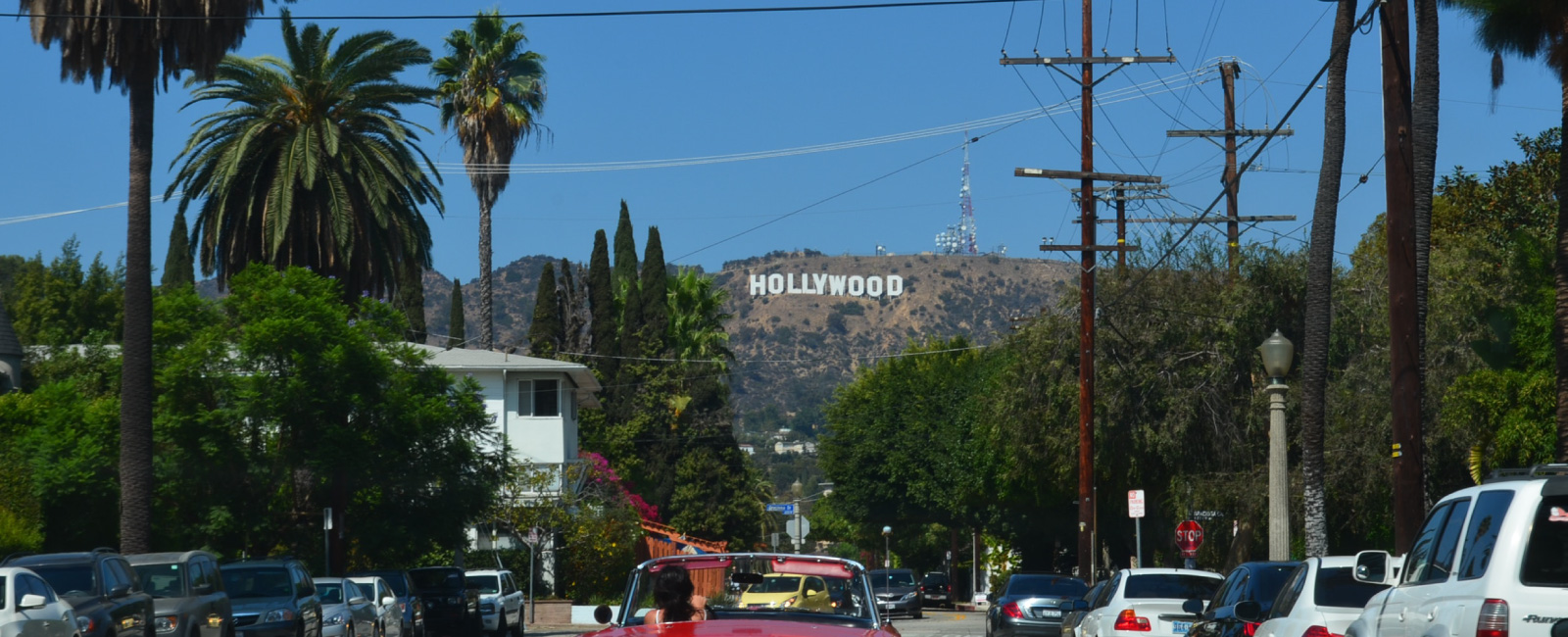 Hollywood Sign through palm trees 