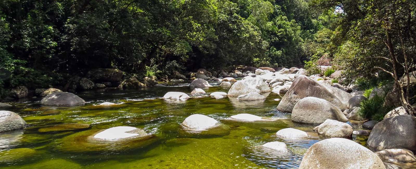 Large white boulders in a creek in the rainforest (Mossman Gorge) 