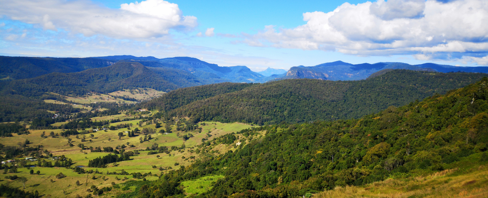 View of valley below at O'Reilly's