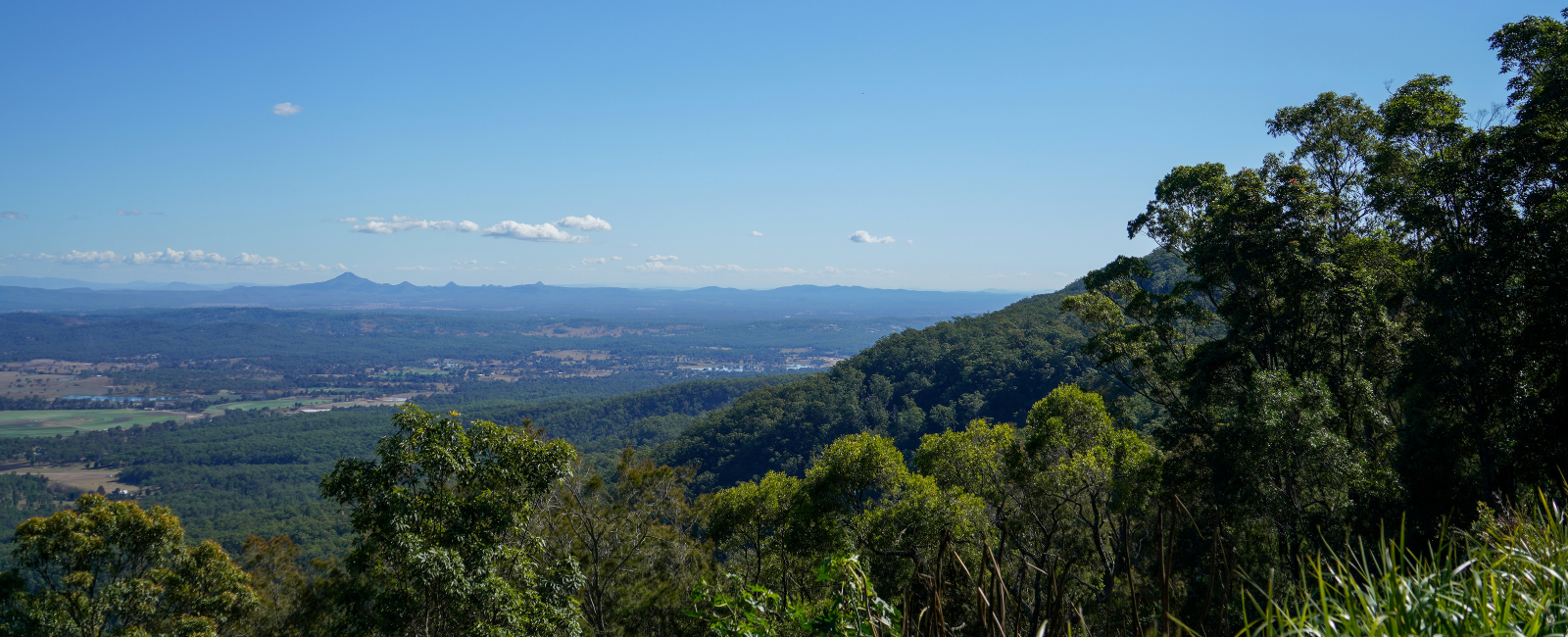 View over the valley from Mt Tamborine