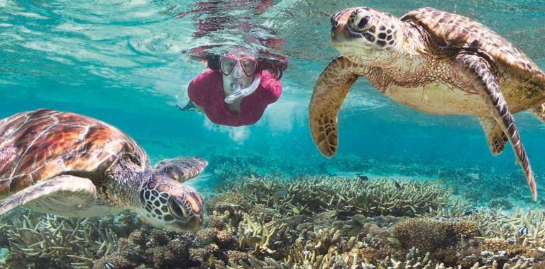 Lady Elliot Island, Southern Great Barrier Reef | 10 Green Getaways