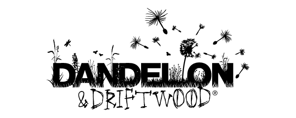 Dandelion and Driftwood