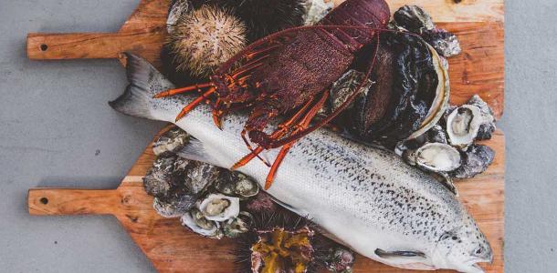 Seafood served fresh on a Tasmanian Wild Seafood Adventures tour | Seafood safari in Tasmania