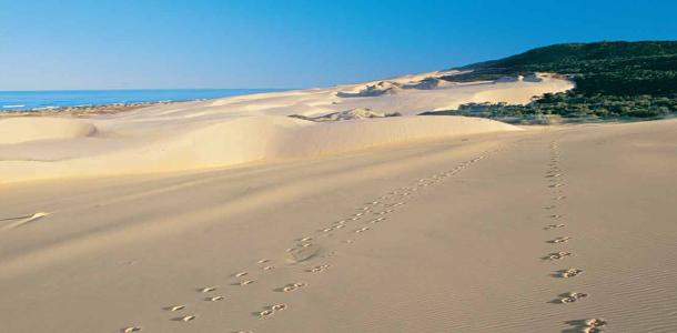 Leave only footprints
